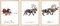 3Pcs Christmas Wall Art Prints 12x16in Santa Claus Reindeer with Sleigh Art Poster Decor Large Aesthetic Xmas Posters Room Decor for Gallery Living Room Bathroom Wall Decor(UNFRAMED)